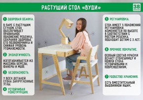 Комплект растущий стол и стул с чехлом 38 попугаев «Вуди» (Серый, Береза, Салют) в Советском - sovetskij.mebel-74.com | фото