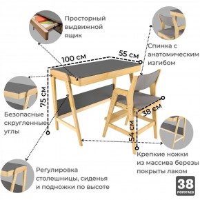 Комплект растущий стол и стул с чехлом 38 попугаев «Вуди» (Серый, Береза, Серый) в Советском - sovetskij.mebel-74.com | фото