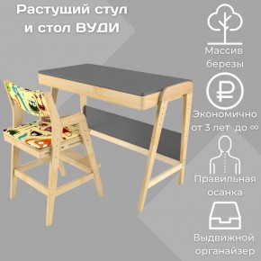 Комплект растущий стол и стул с чехлом 38 попугаев «Вуди» (Серый, Без покрытия, Монстры) в Советском - sovetskij.mebel-74.com | фото