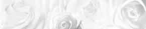 Кухонный фартук Цветы 217 МДФ матовый (3000) Flowers в Советском - sovetskij.mebel-74.com | фото