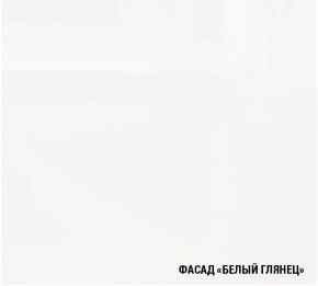 ТЕРЦИЯ Кухонный гарнитур Экстра 5 (3000 мм) в Советском - sovetskij.mebel-74.com | фото